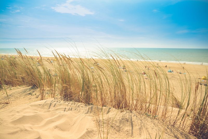 Picture of a beach in Beaufort, NC. Does your AC help with allergies?