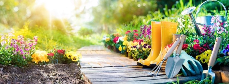 Set Of Tools For Gardener And Flowerpots In Garden. Time for your spring maintenance check in Beaufort, NC.