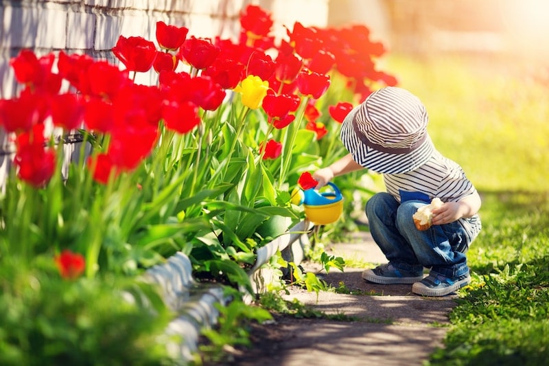 Little kid watering red flowers outside in Beaufort, NC.