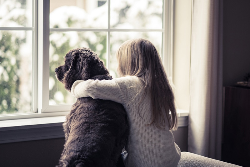 Girl and her dog looking out a window.