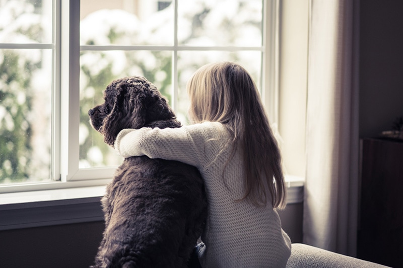 Girl and her dog looking out a window, How Environmental Issues Can Affect Your AC | HVAC, Newport, NC