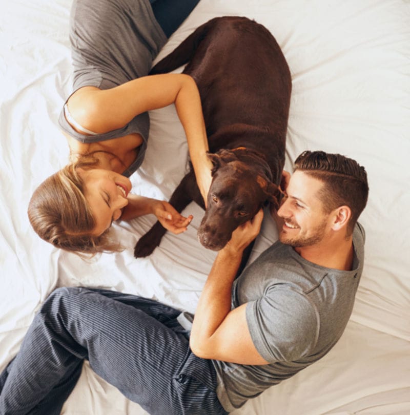 Happy young family relaxing on bed together with dog.