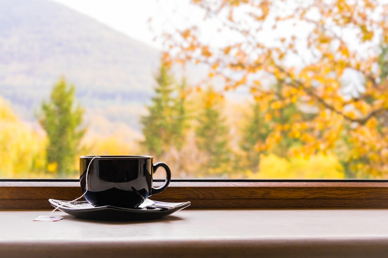Cup of tea by fall window.