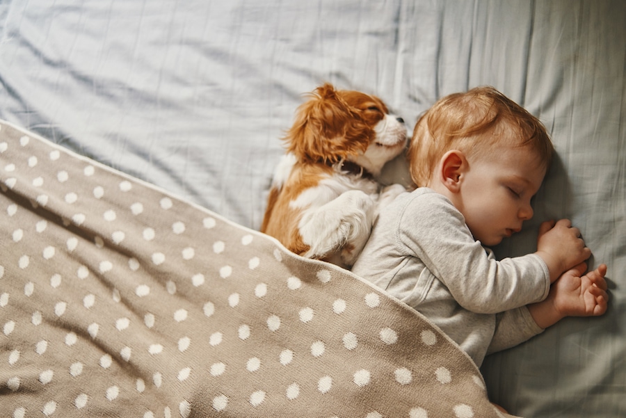 baby sleeping with puppy