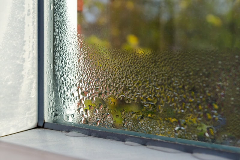 Don't Let Your Home Sweat It Out: A North Carolina Guide to Humidity Control.